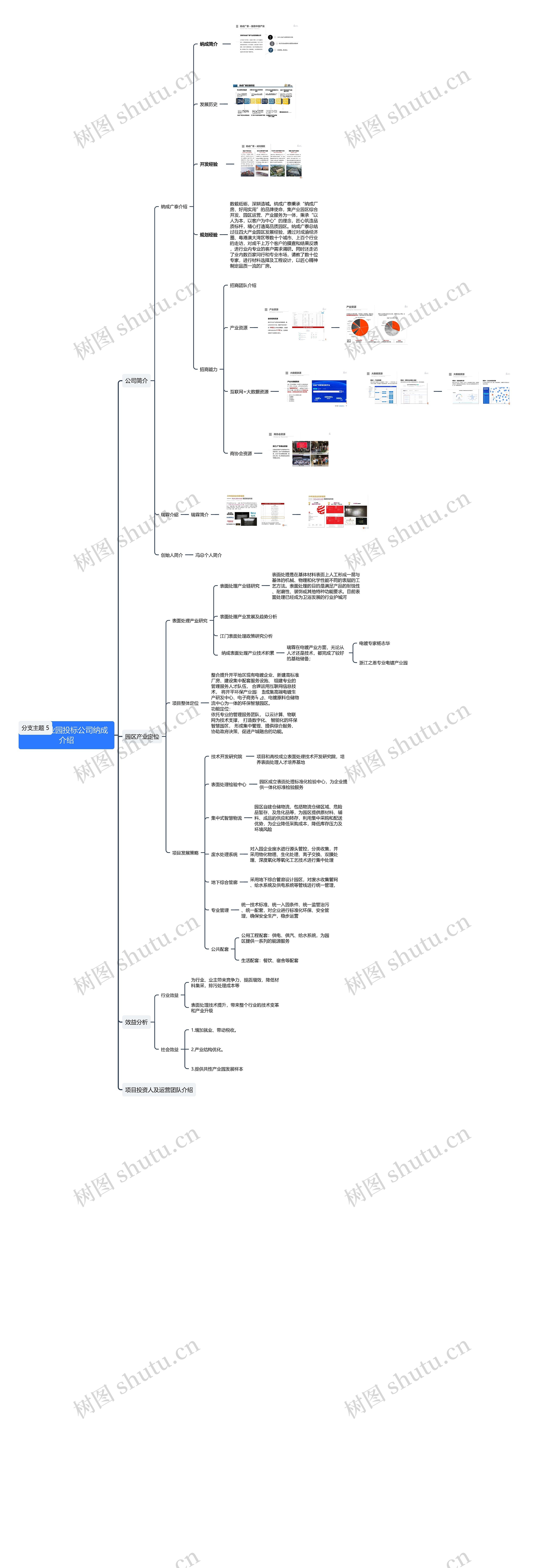共性产业园投标公司纳成介绍思维导图