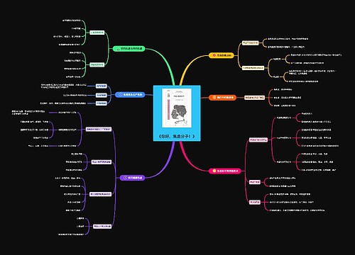 《你好，焦虑分子！》思维导图