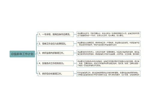 总监新年工作计划