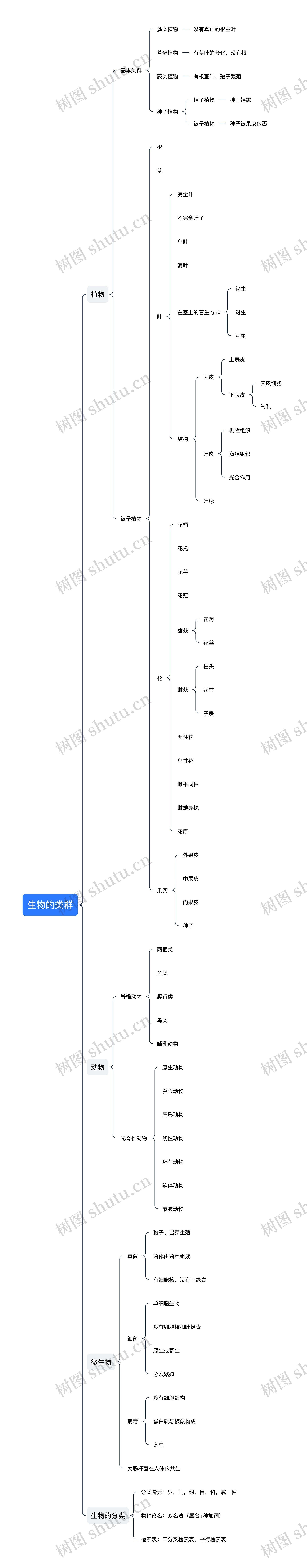 ﻿生物的类群思维导图