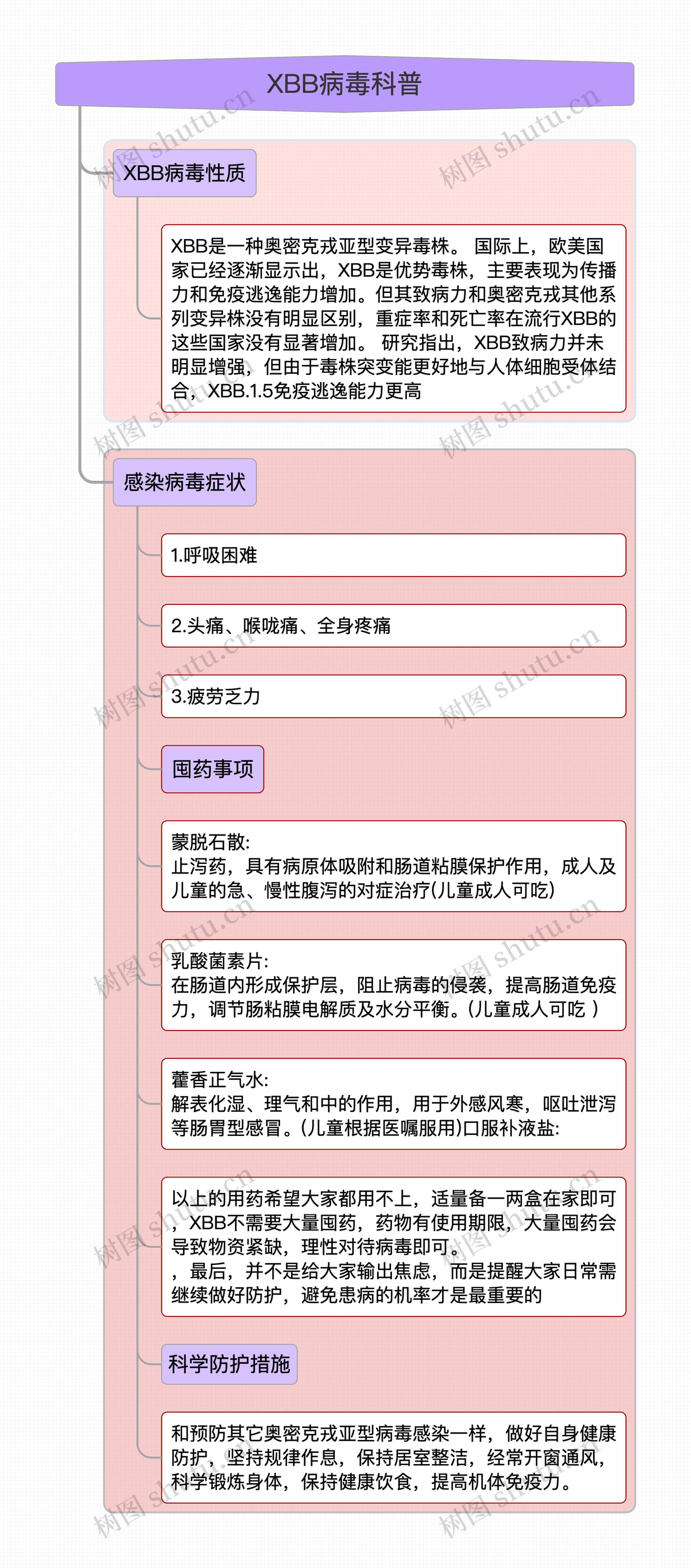XBB病毒科普---Q