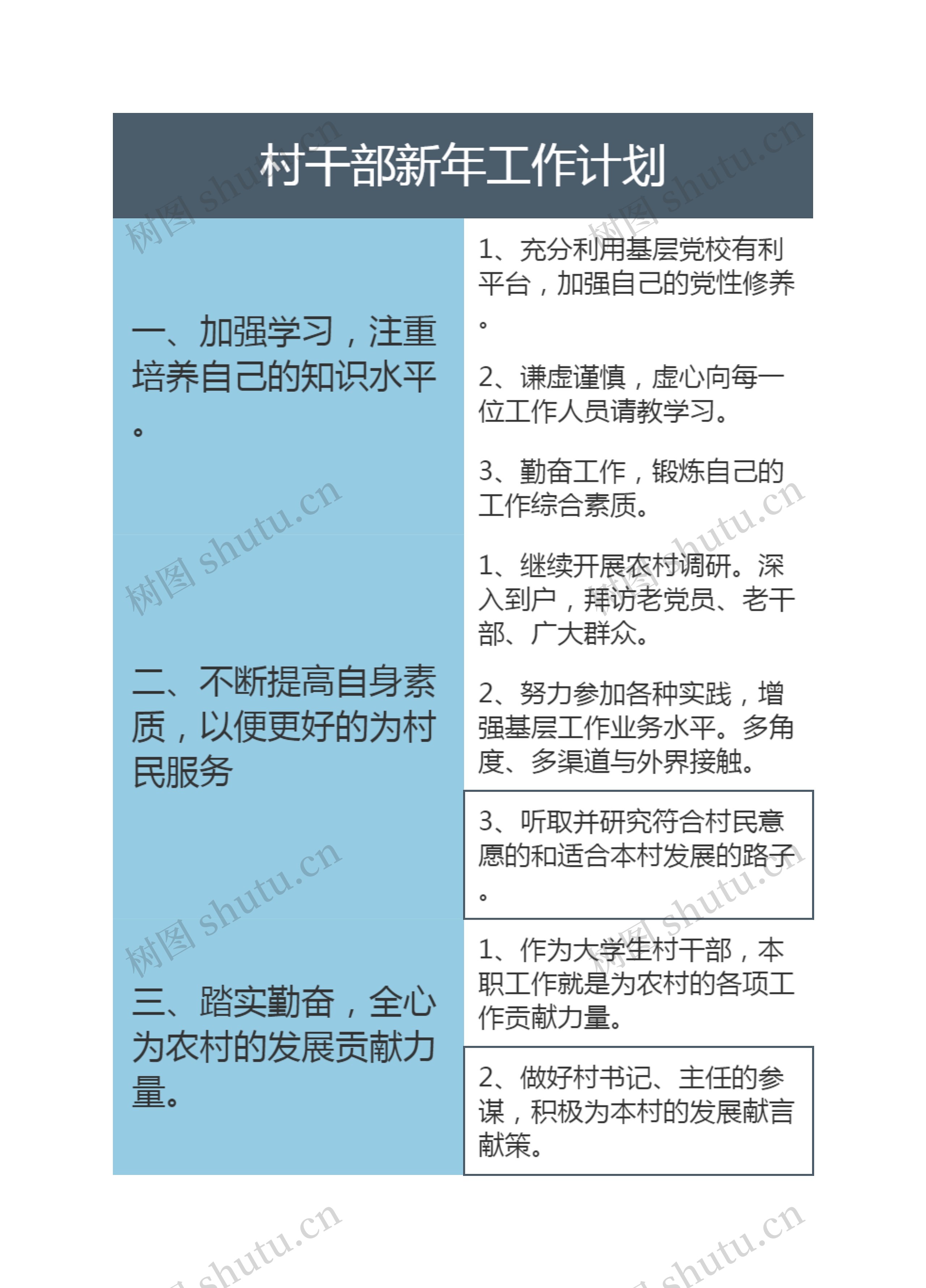 村干部新年工作计划