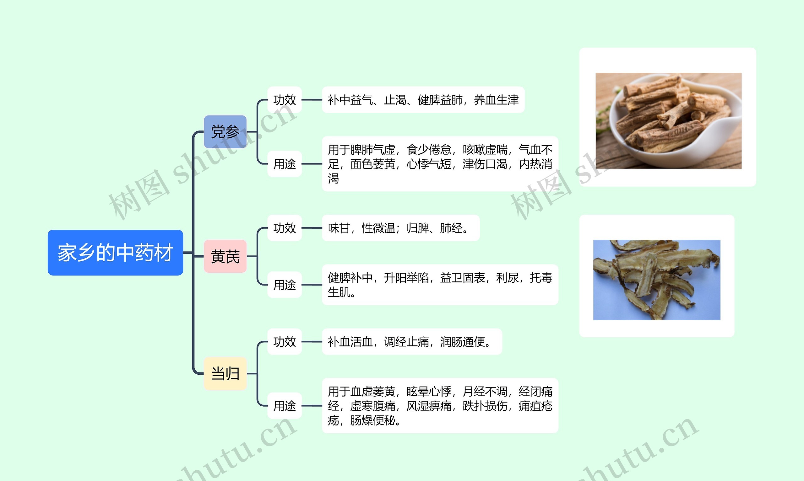 家乡的中药材