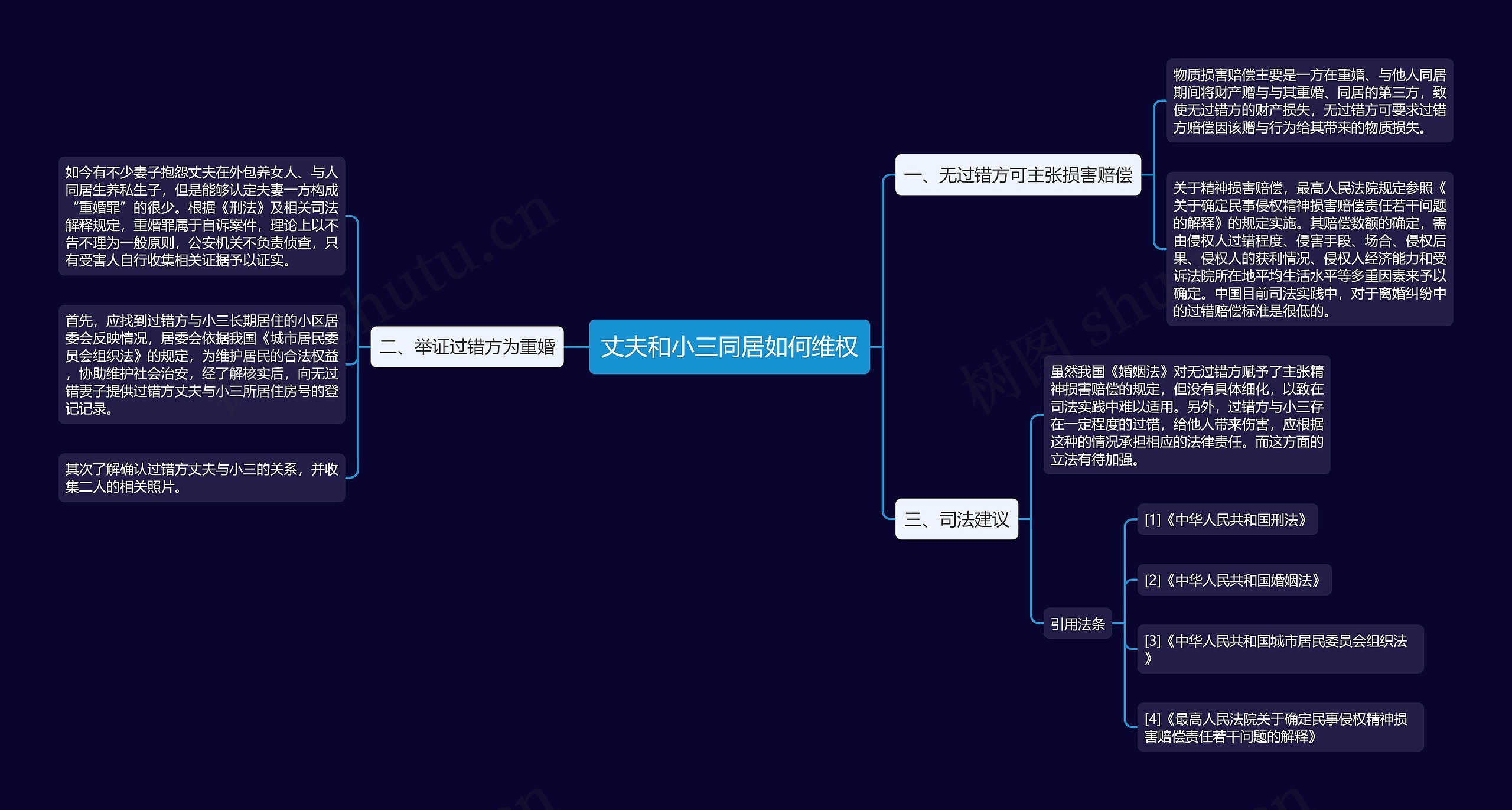 丈夫和小三同居如何维权思维导图