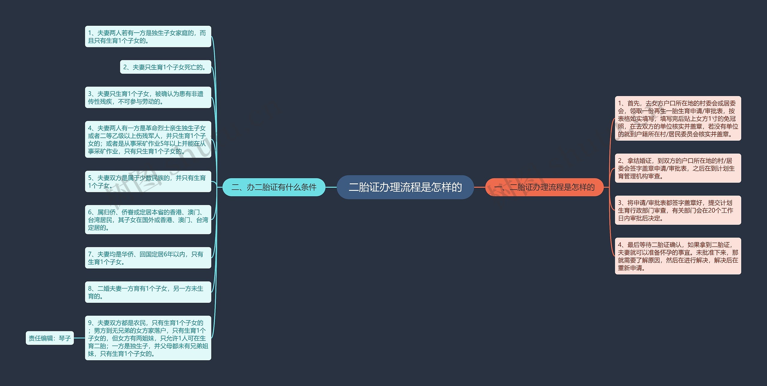 二胎证办理流程是怎样的思维导图