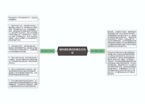 婚内侵权侵权的概念及特征