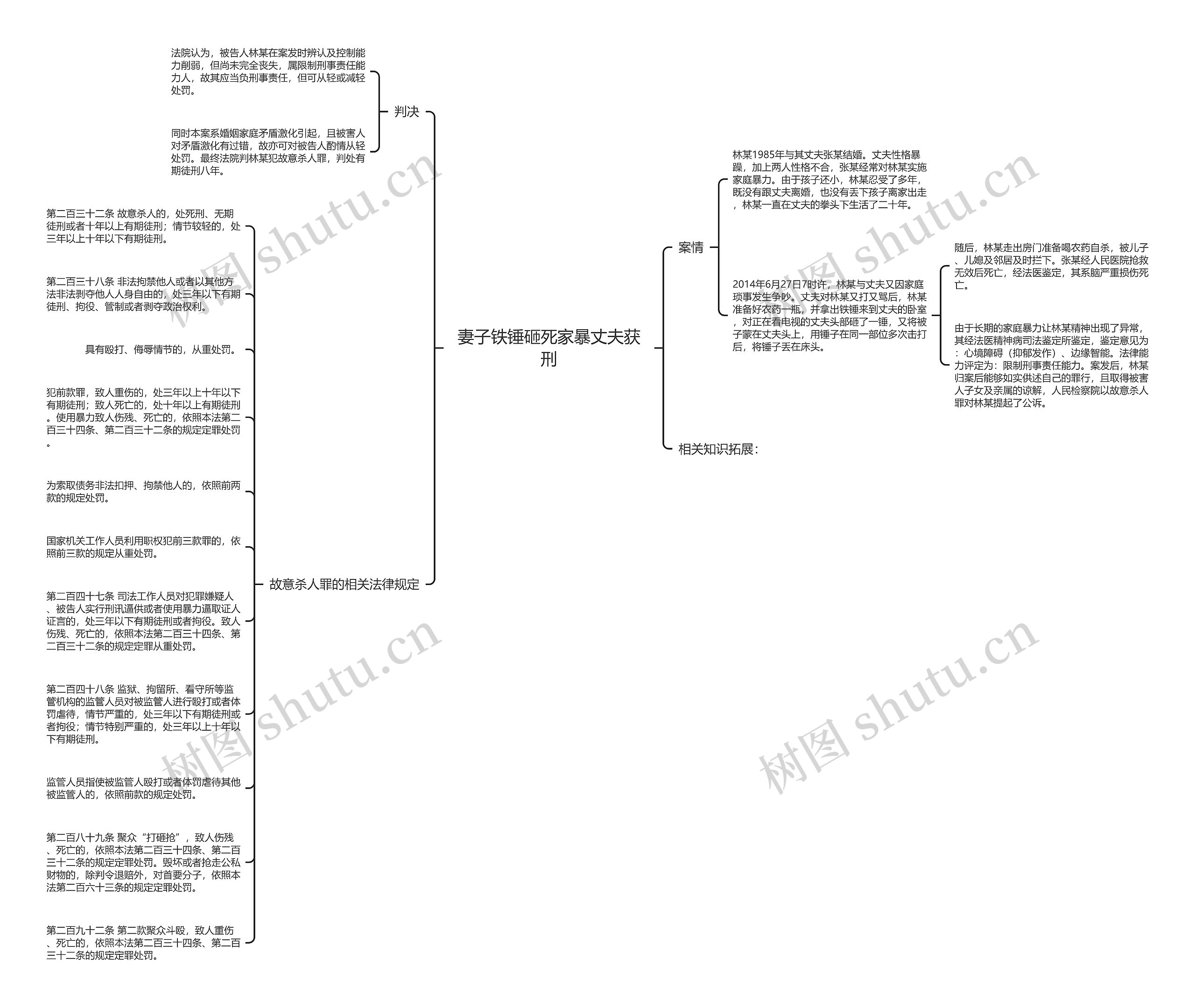 妻子铁锤砸死家暴丈夫获刑思维导图