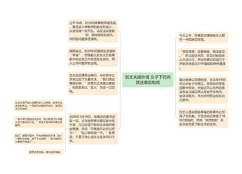 因丈夫婚外情 女子下药将其迷晕后勒死