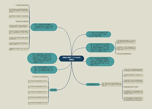 再婚生育第二个子女的法律规定