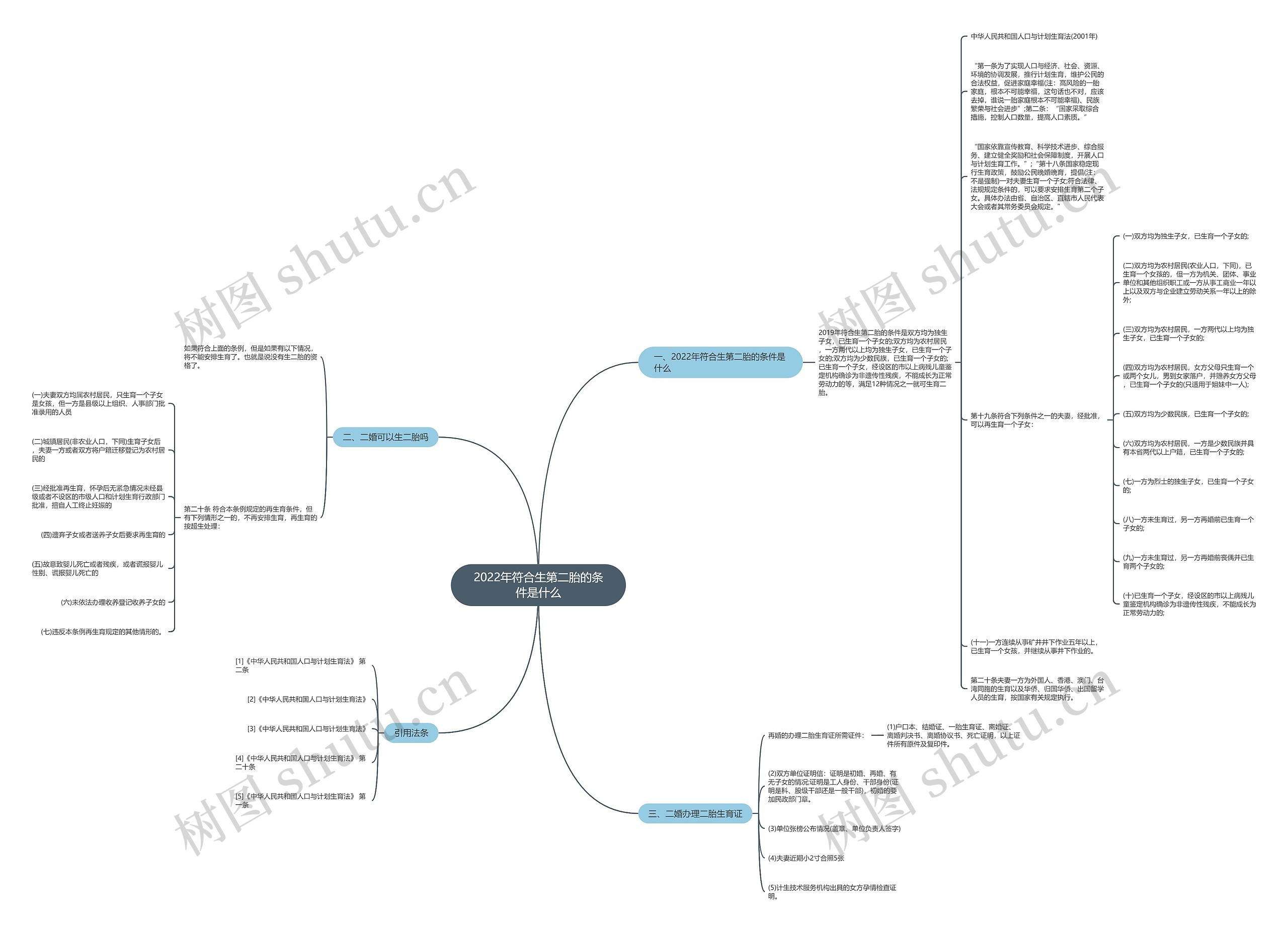 2022年符合生第二胎的条件是什么思维导图
