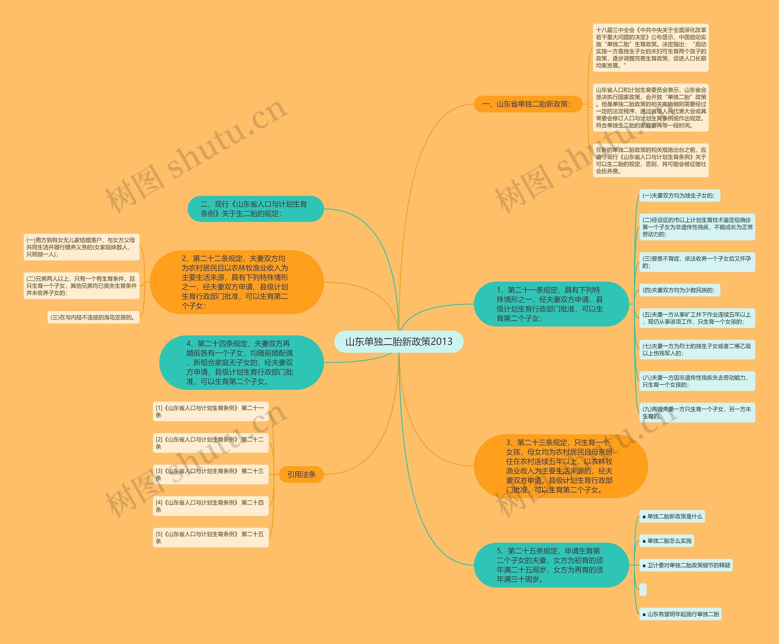 山东单独二胎新政策2013思维导图