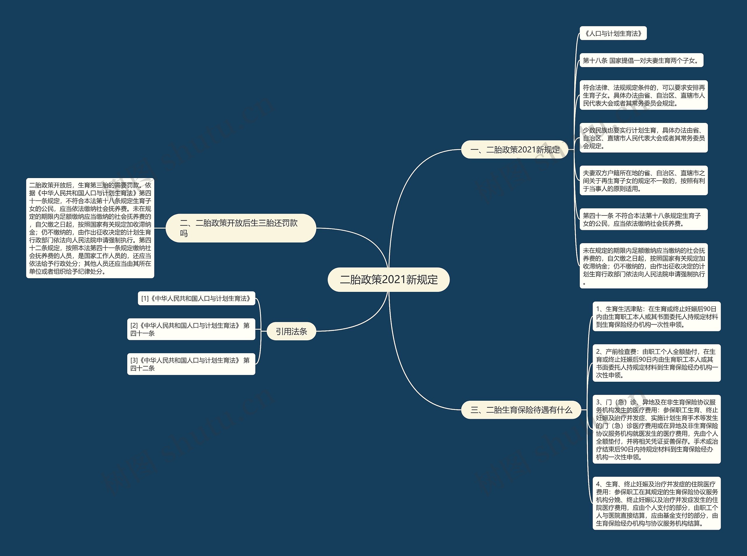 二胎政策2021新规定思维导图
