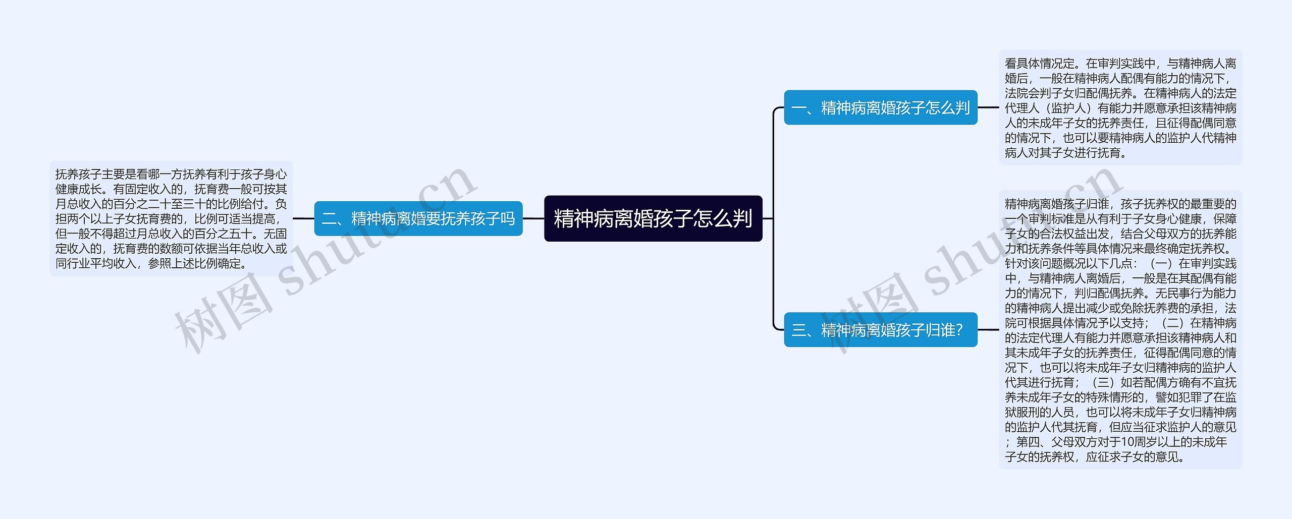 精神病离婚孩子怎么判思维导图