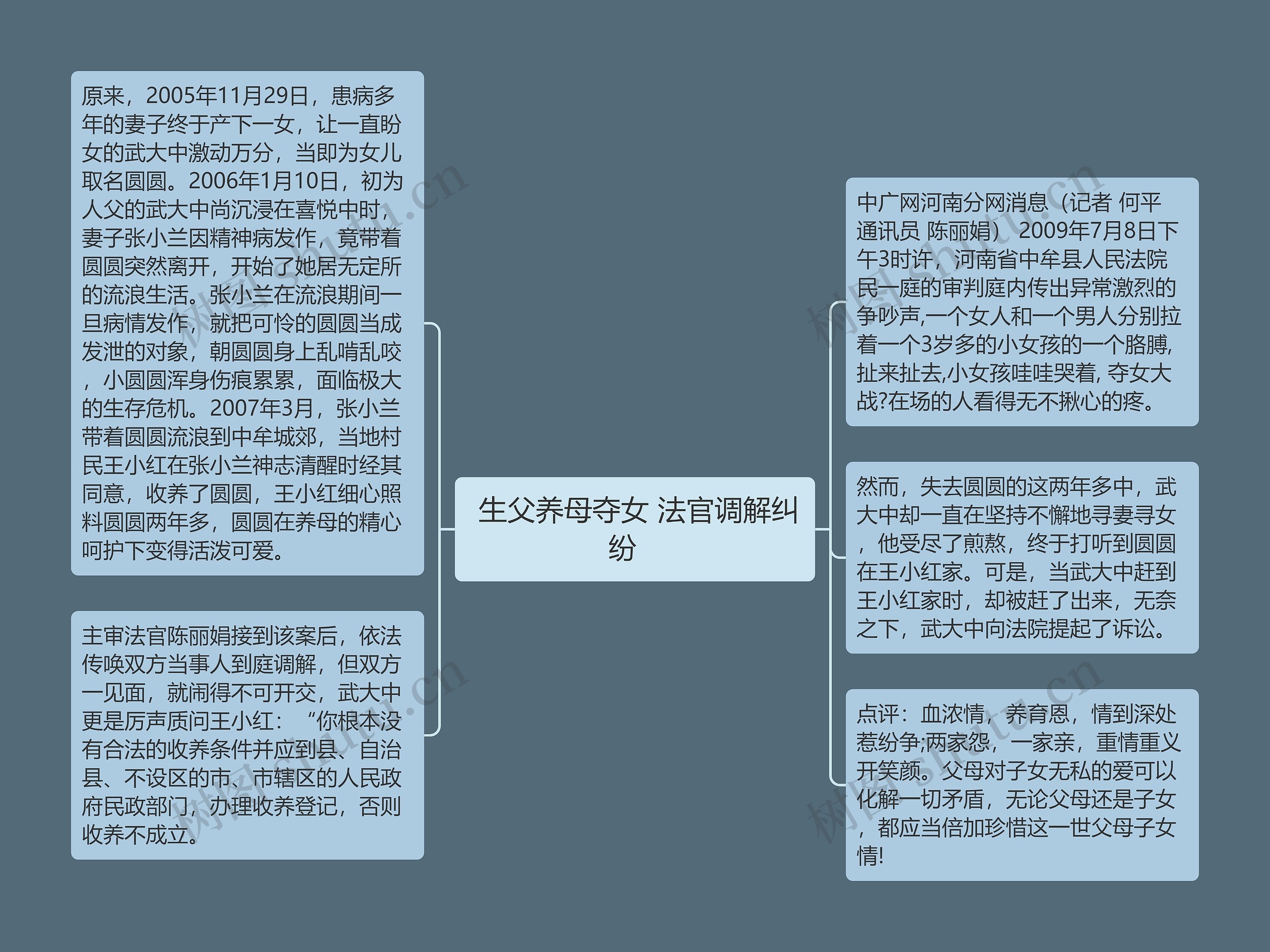  生父养母夺女 法官调解纠纷   思维导图