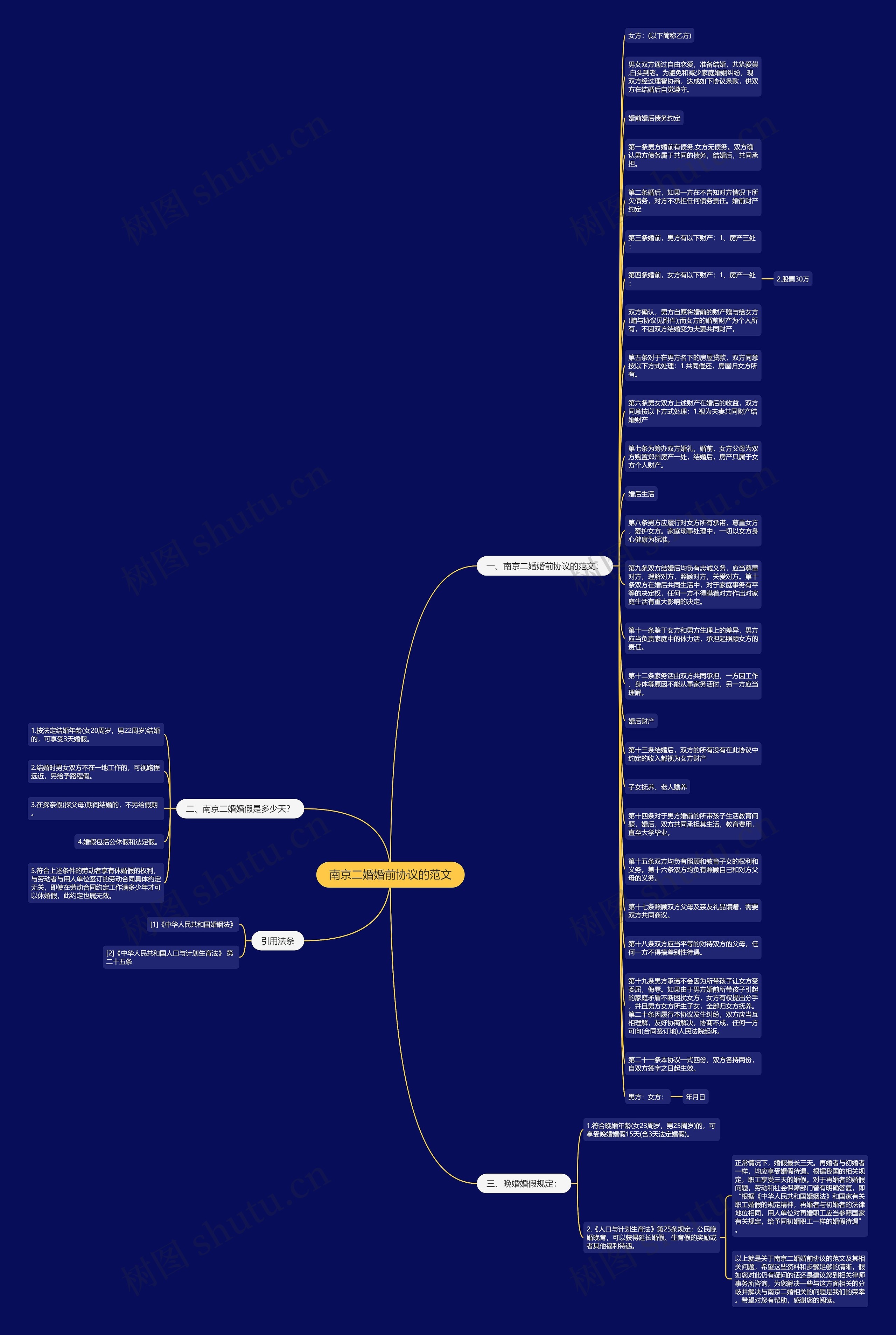 南京二婚婚前协议的范文思维导图