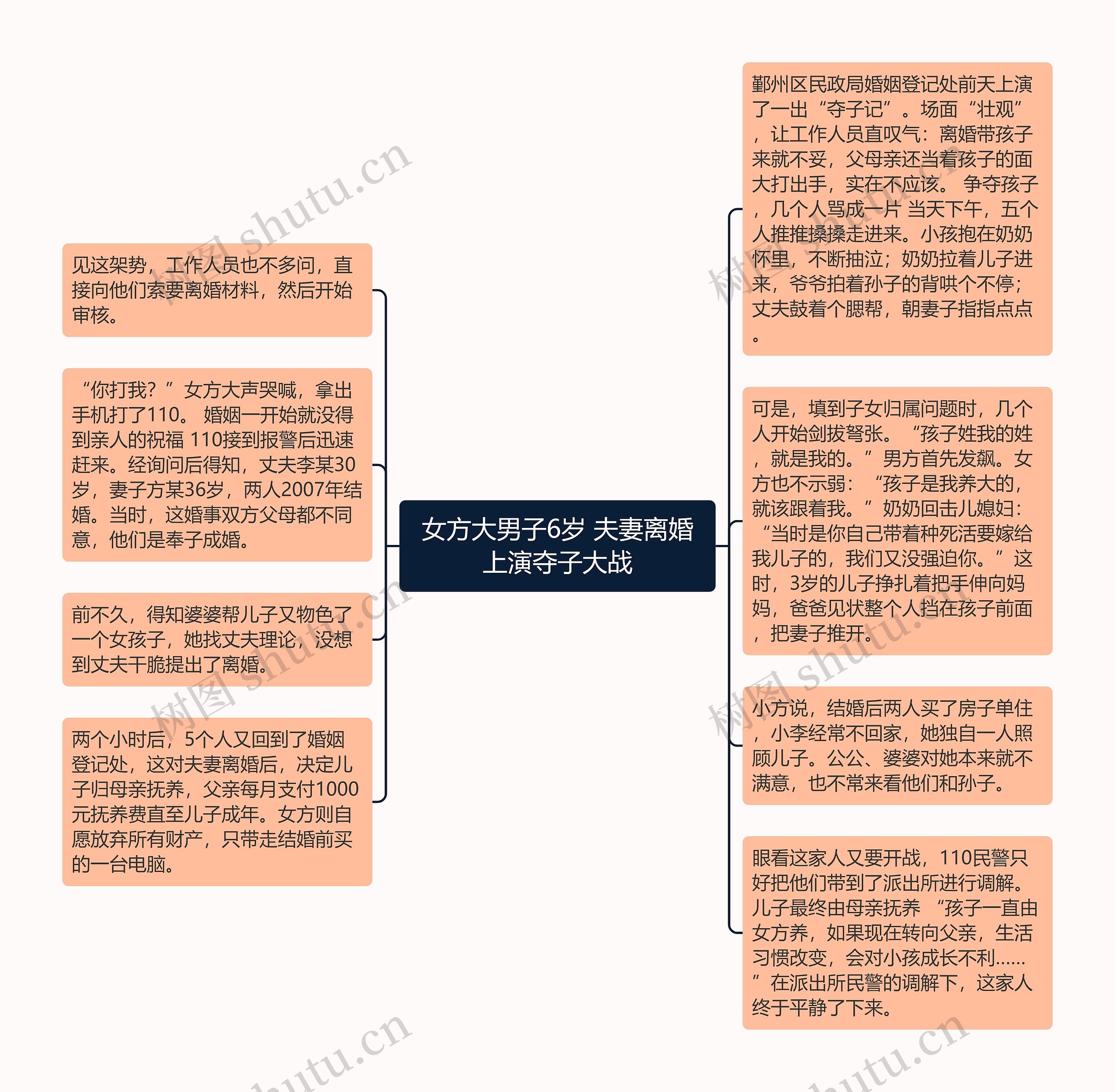 女方大男子6岁 夫妻离婚上演夺子大战思维导图