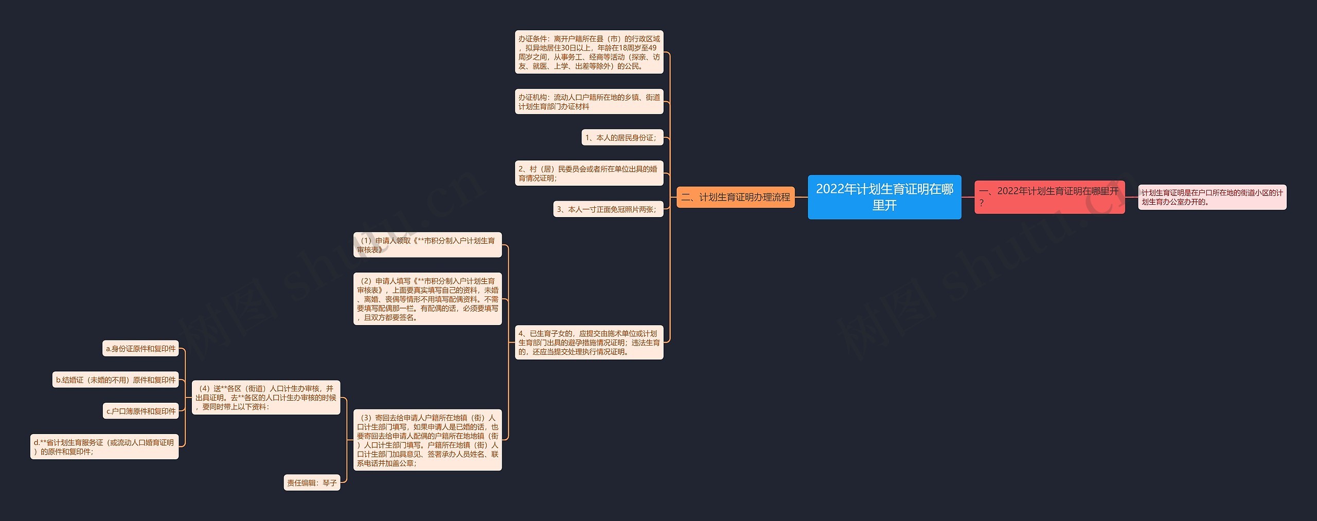 2022年计划生育证明在哪里开思维导图