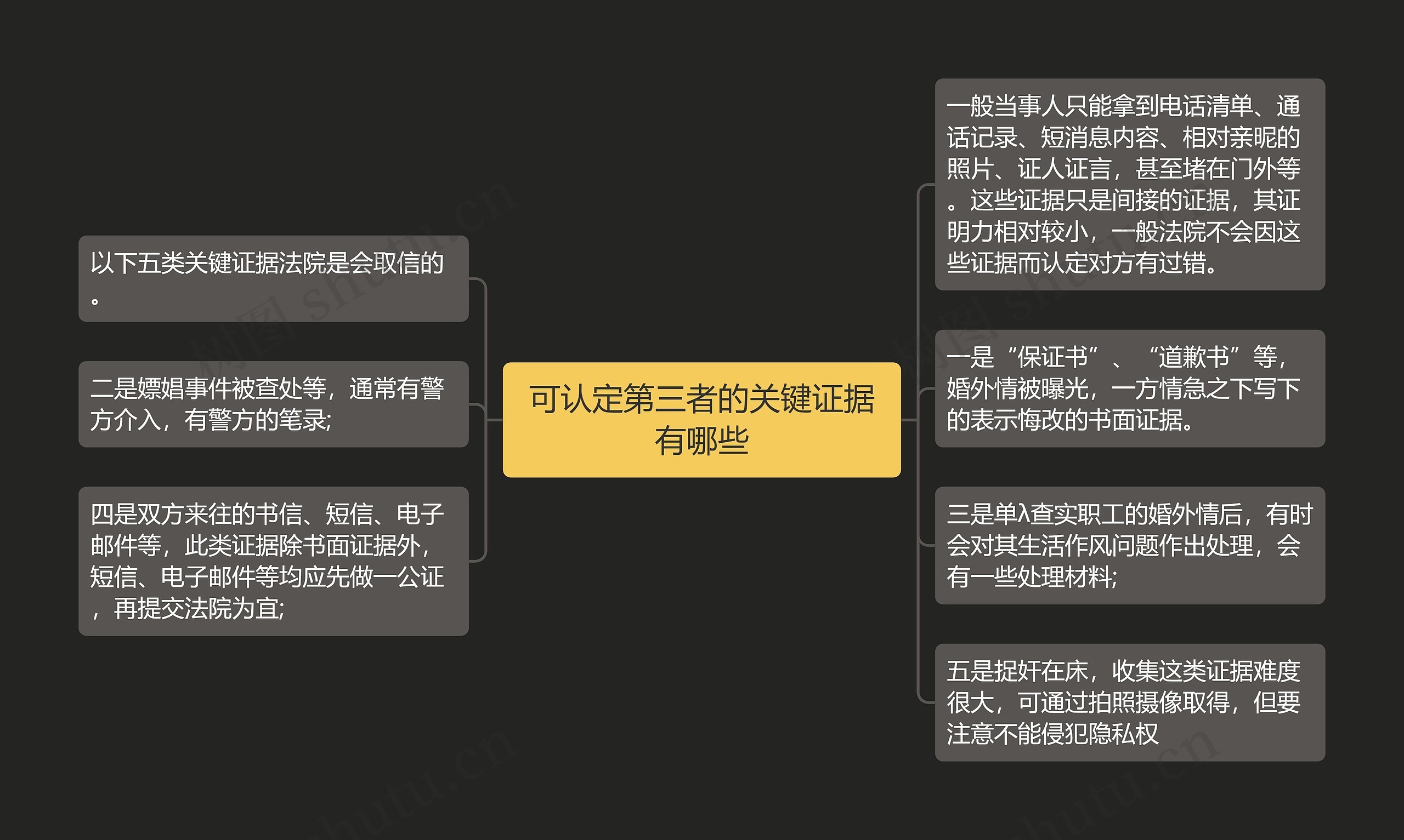 可认定第三者的关键证据有哪些思维导图