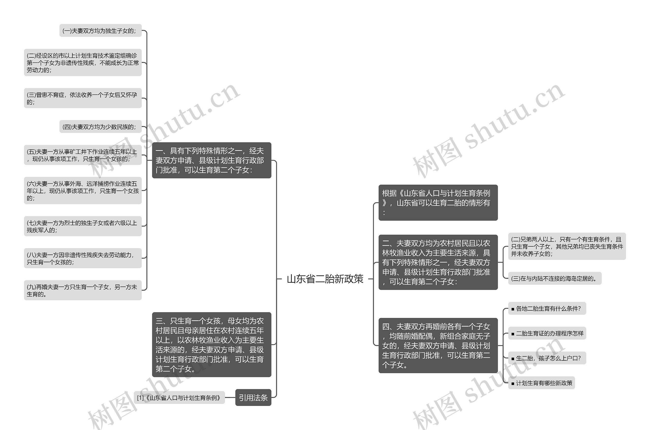 山东省二胎新政策思维导图