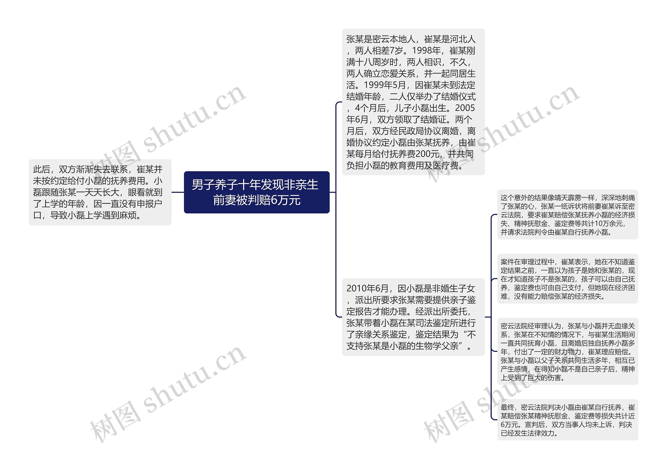 男子养子十年发现非亲生 前妻被判赔6万元思维导图