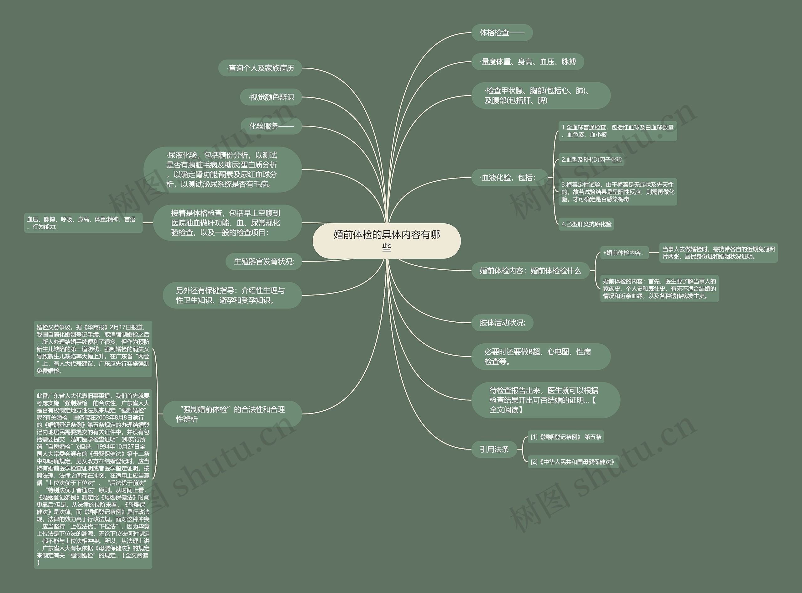 婚前体检的具体内容有哪些思维导图