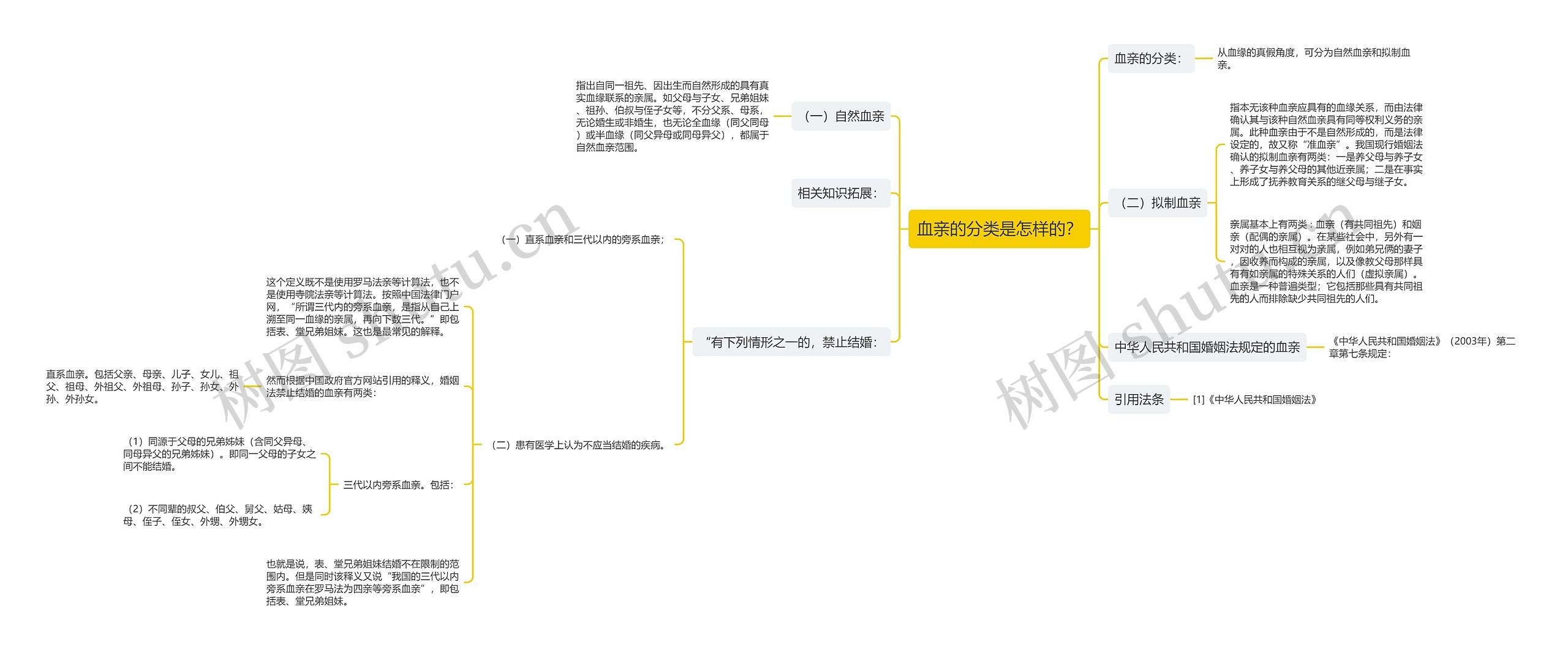 血亲的分类是怎样的？思维导图