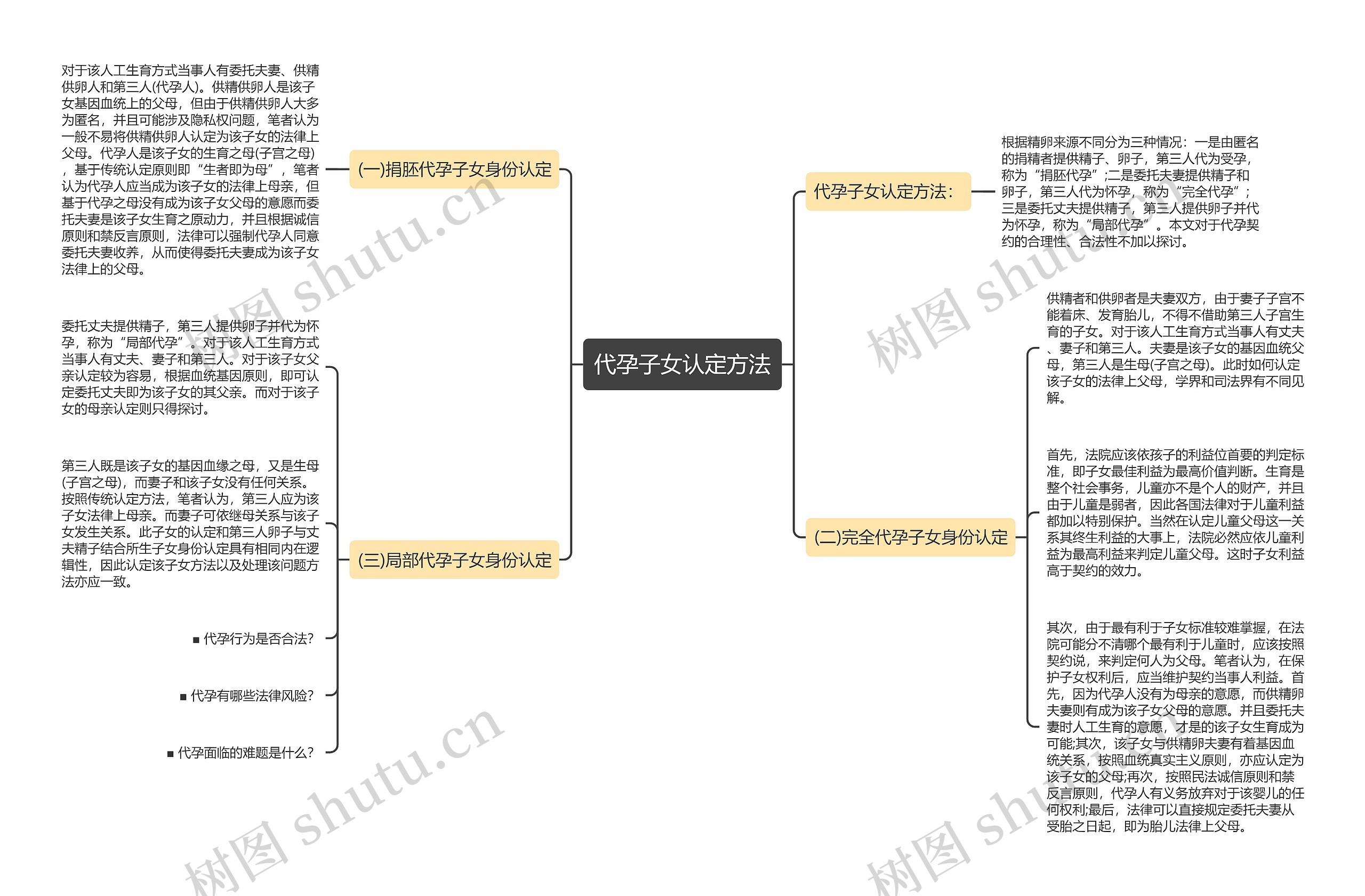 代孕子女认定方法