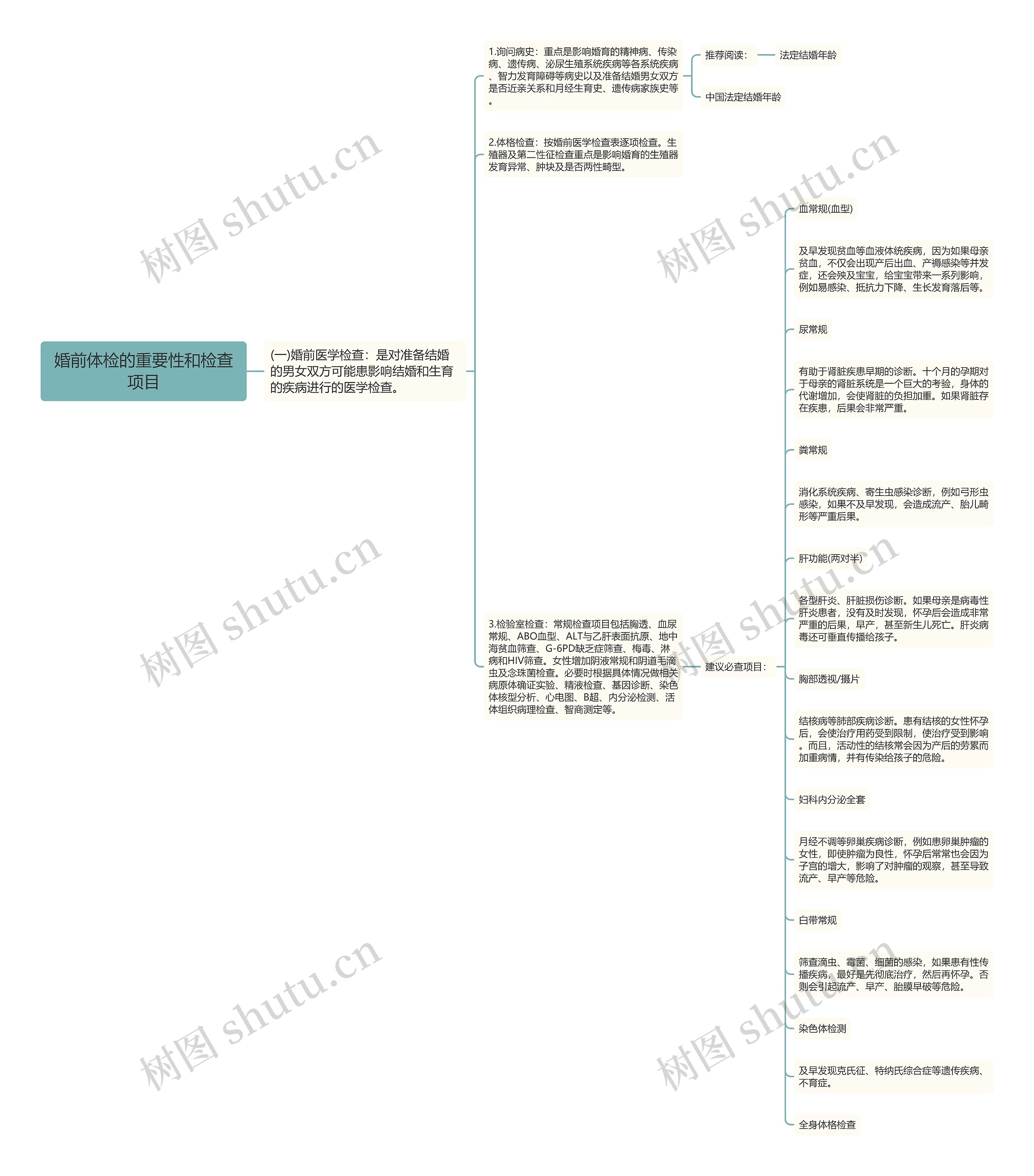 婚前体检的重要性和检查项目思维导图