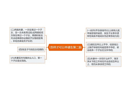 t怎样才可以申请生第二胎