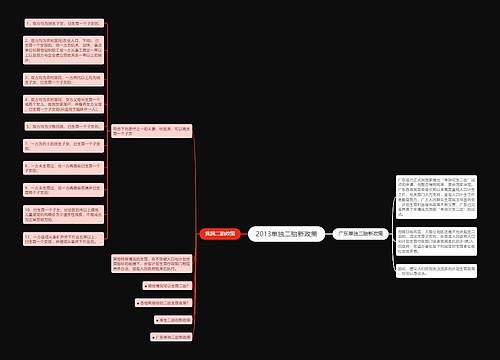 2013单独二胎新政策