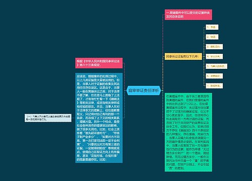 庭审举证责任详析