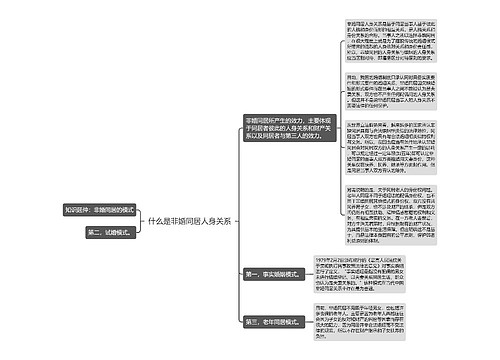 什么是非婚同居人身关系