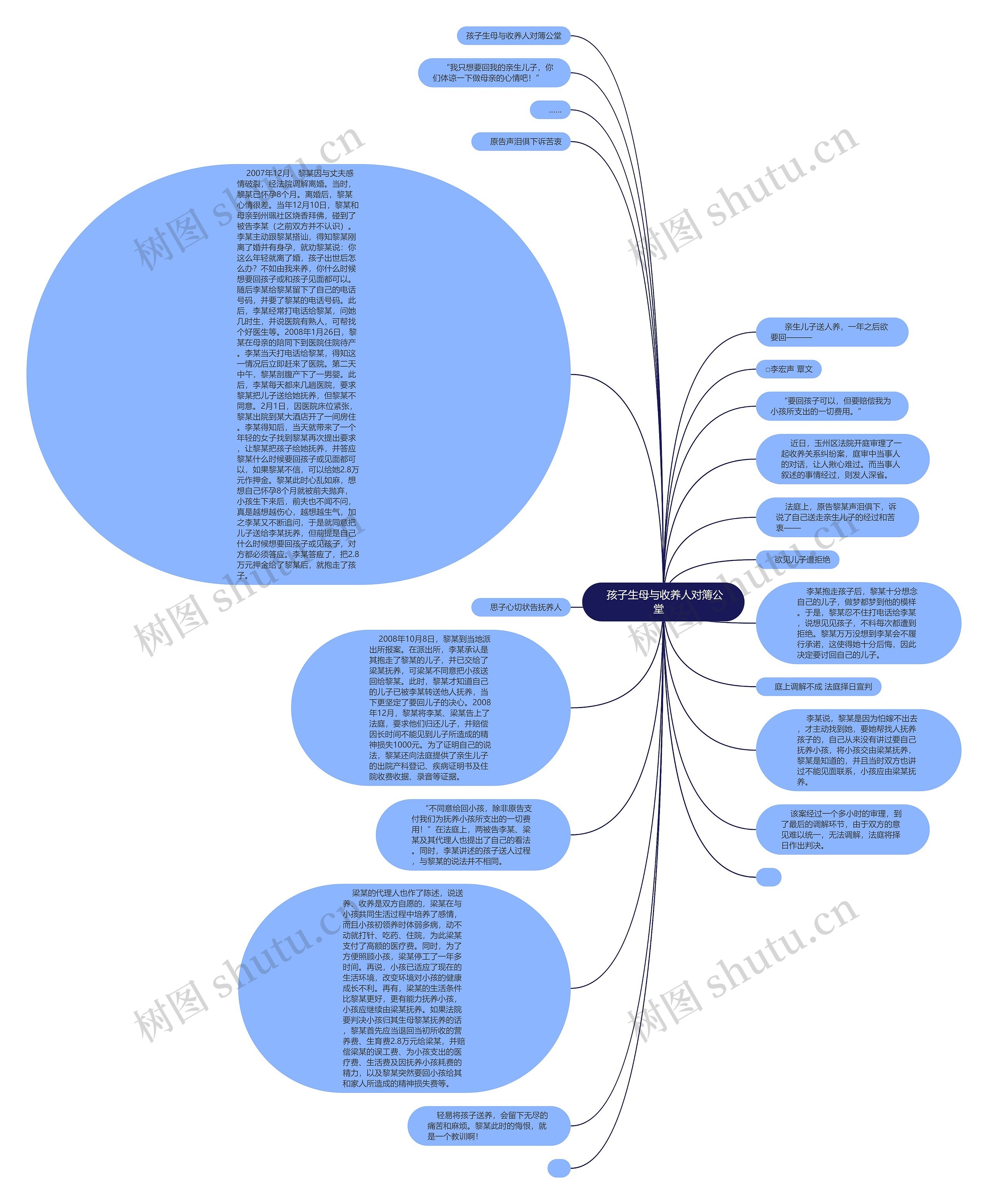 孩子生母与收养人对簿公堂   思维导图