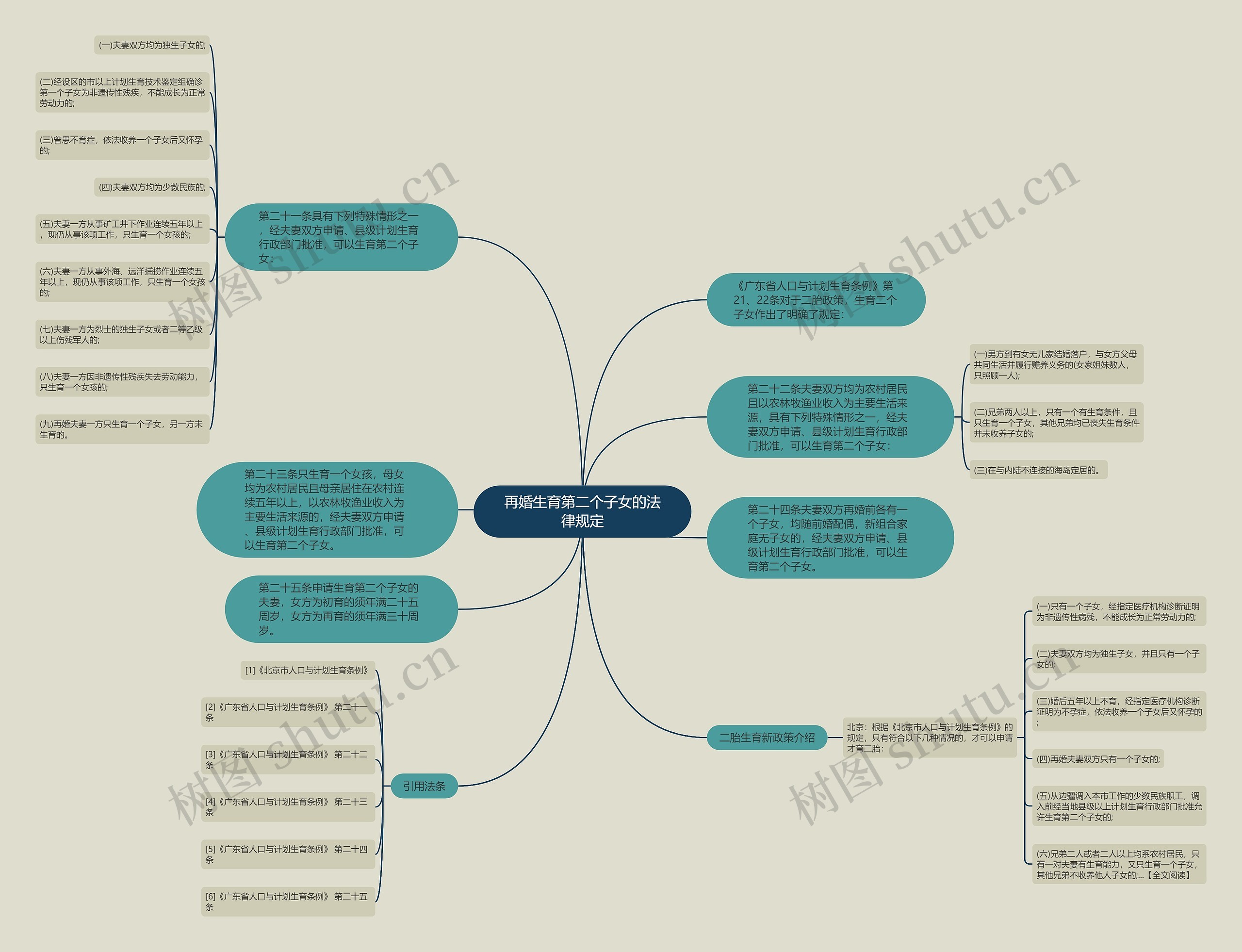 再婚生育第二个子女的法律规定思维导图