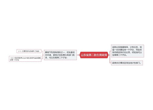 山东省第二胎生育政策