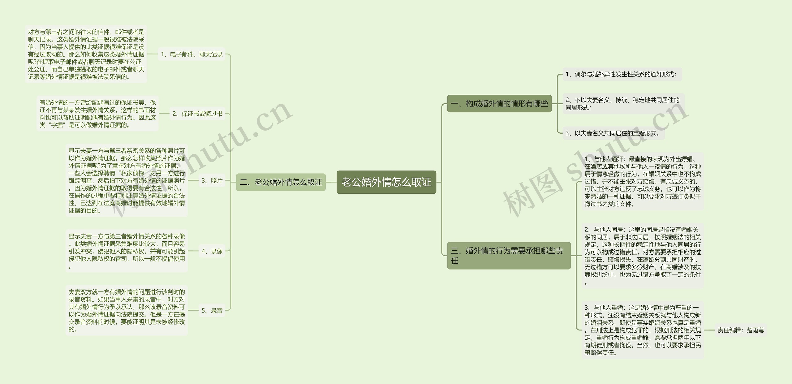 老公婚外情怎么取证思维导图