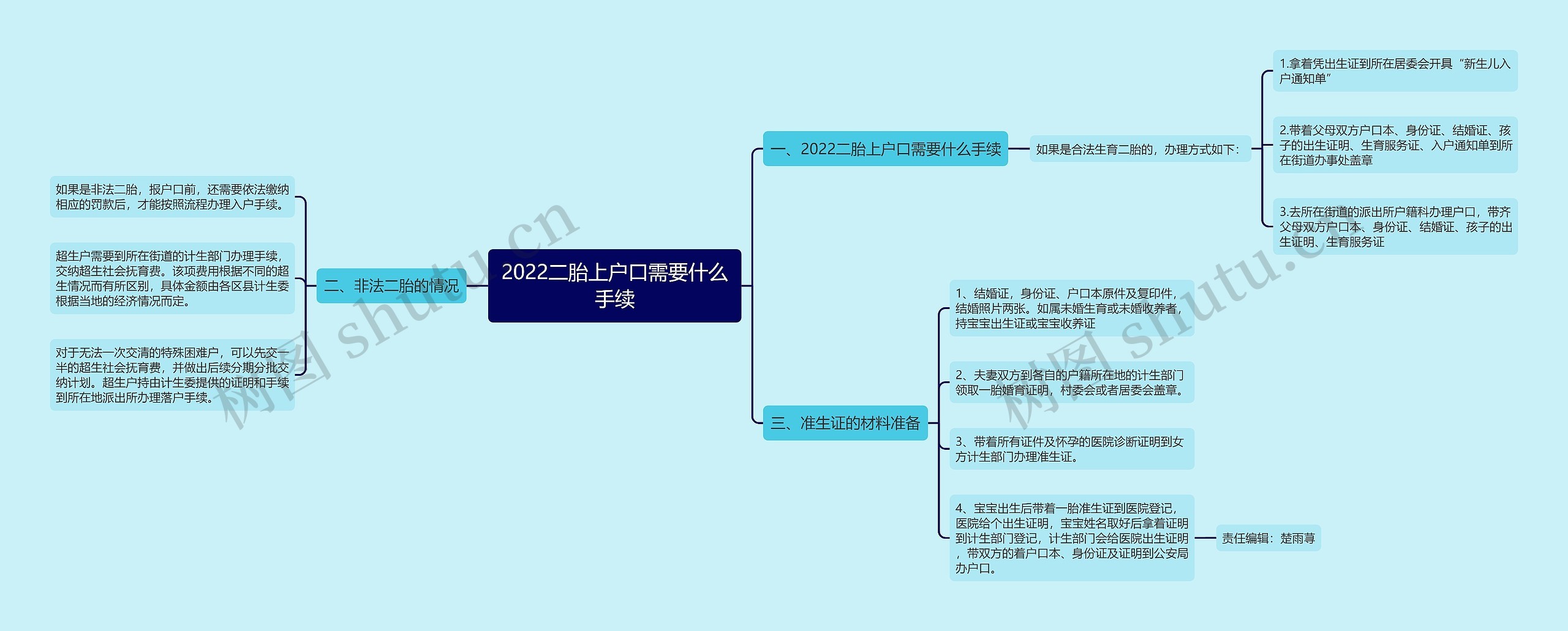 2022二胎上户口需要什么手续思维导图