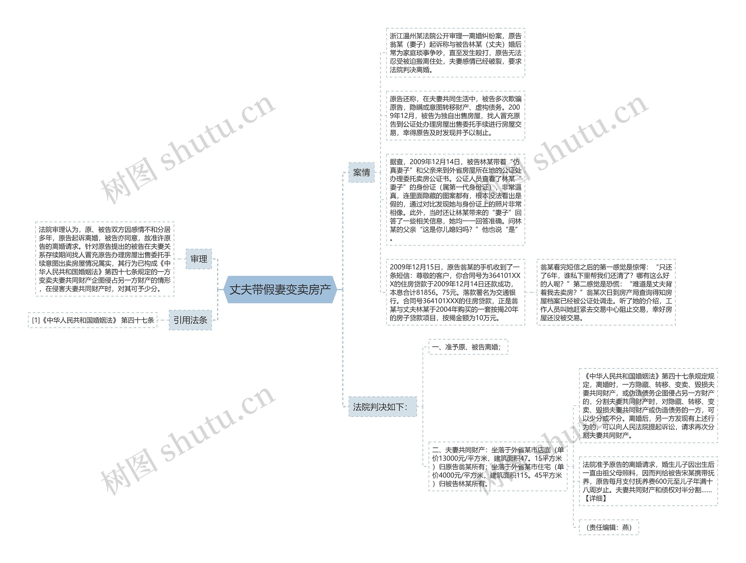 丈夫带假妻变卖房产思维导图