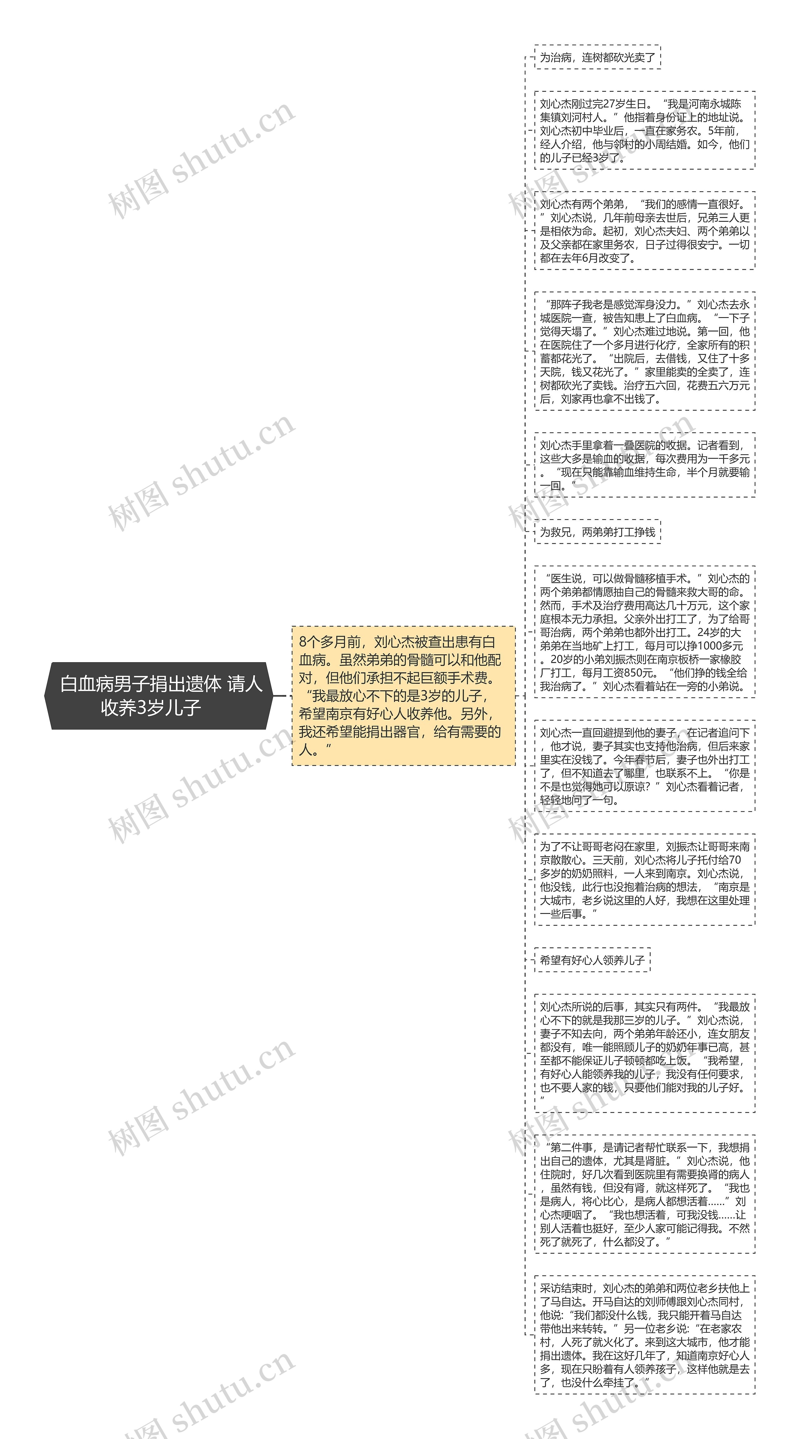  白血病男子捐出遗体 请人收养3岁儿子   思维导图