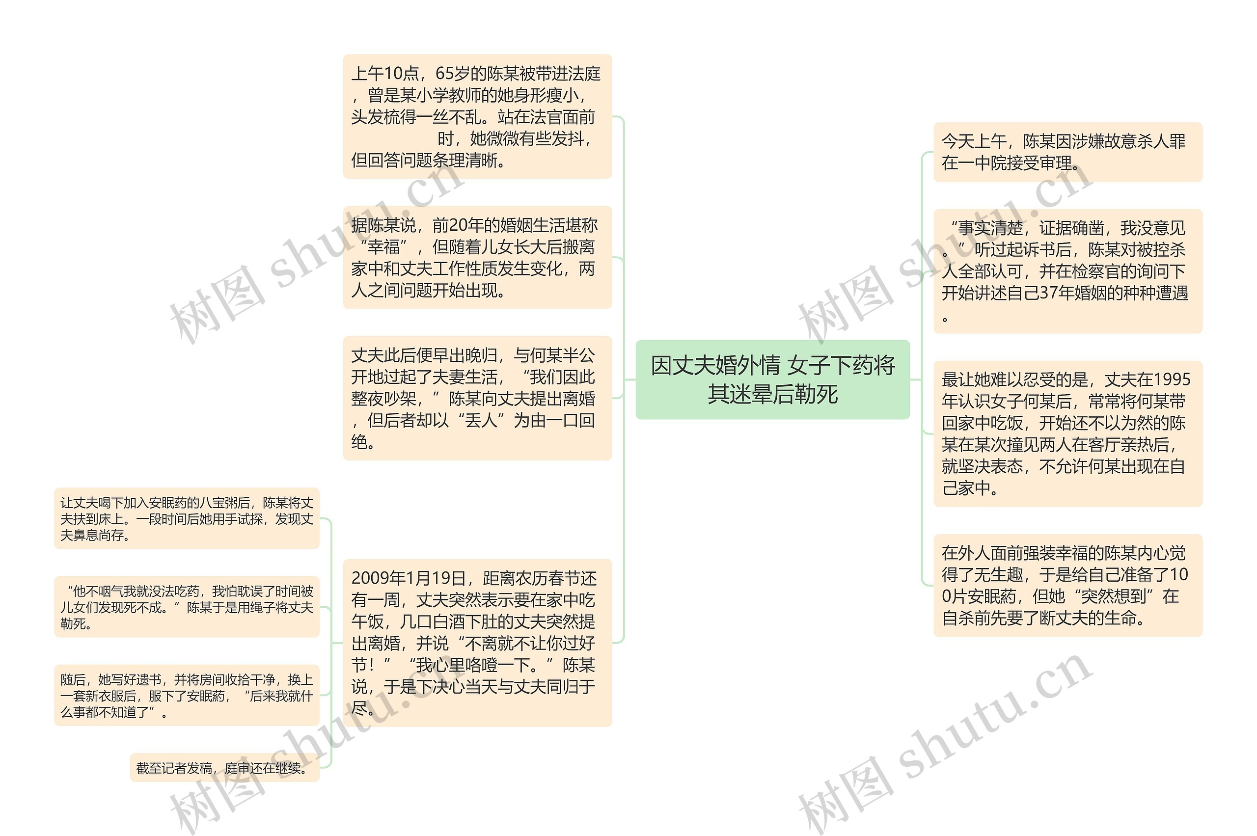 因丈夫婚外情 女子下药将其迷晕后勒死思维导图