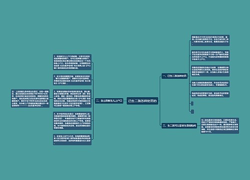 已生二孩怎样处罚的
