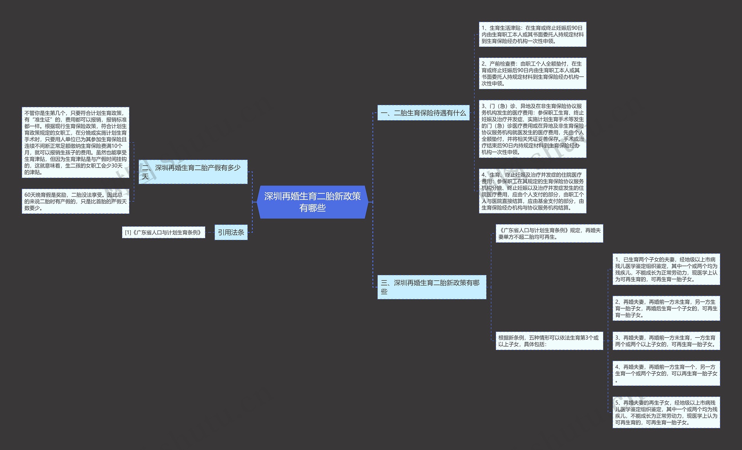 深圳再婚生育二胎新政策有哪些思维导图