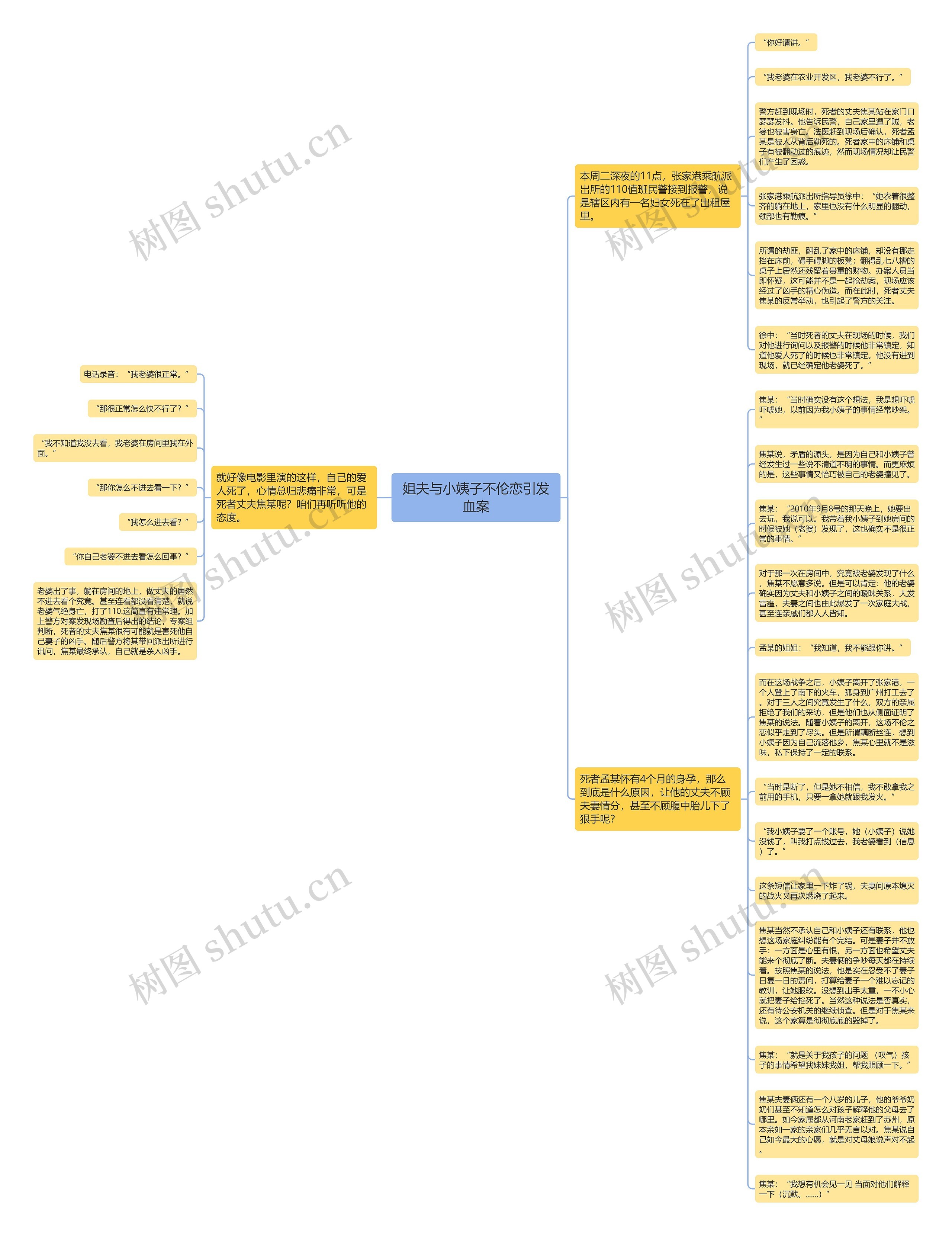 姐夫与小姨子不伦恋引发血案思维导图