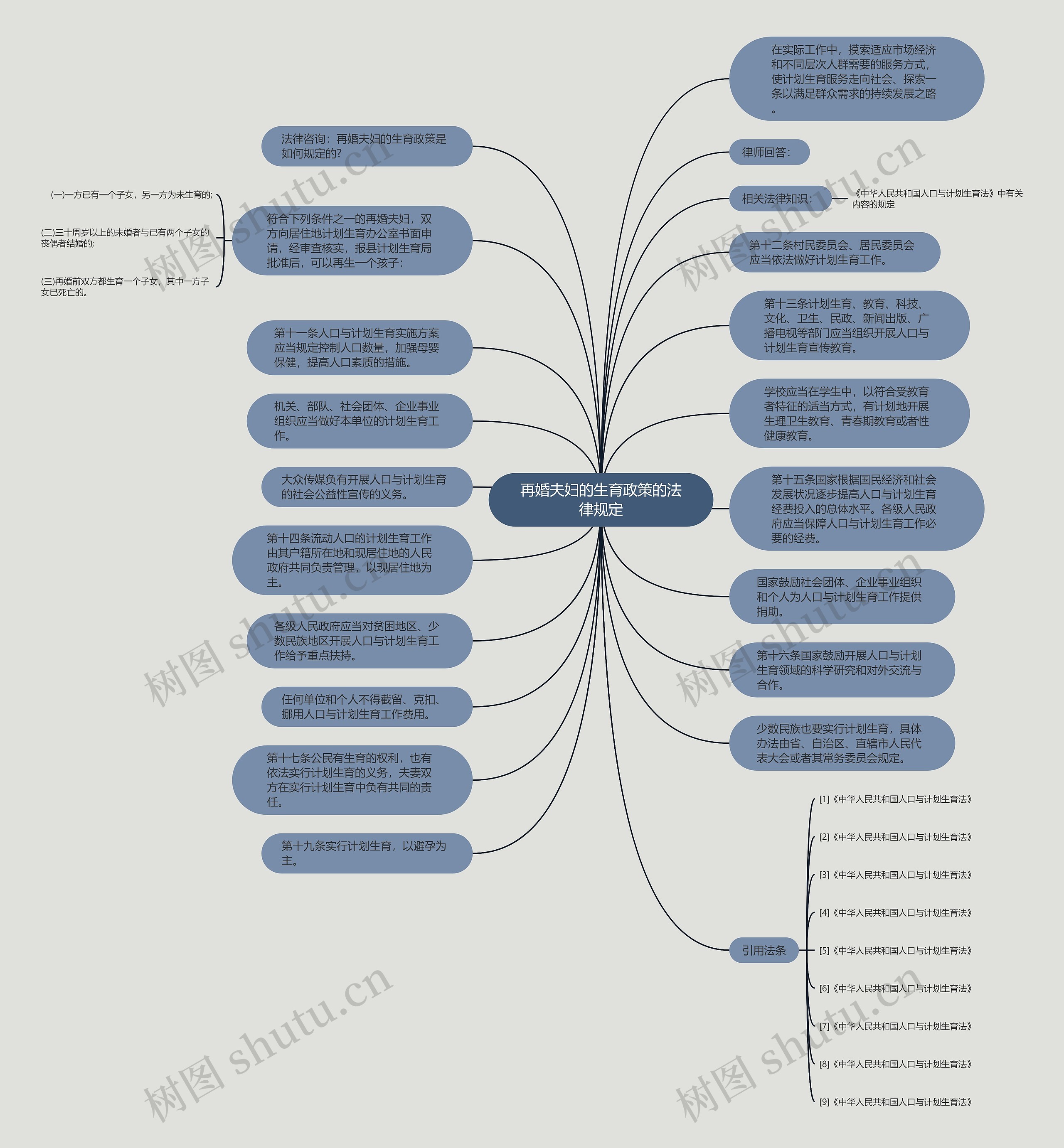 再婚夫妇的生育政策的法律规定思维导图