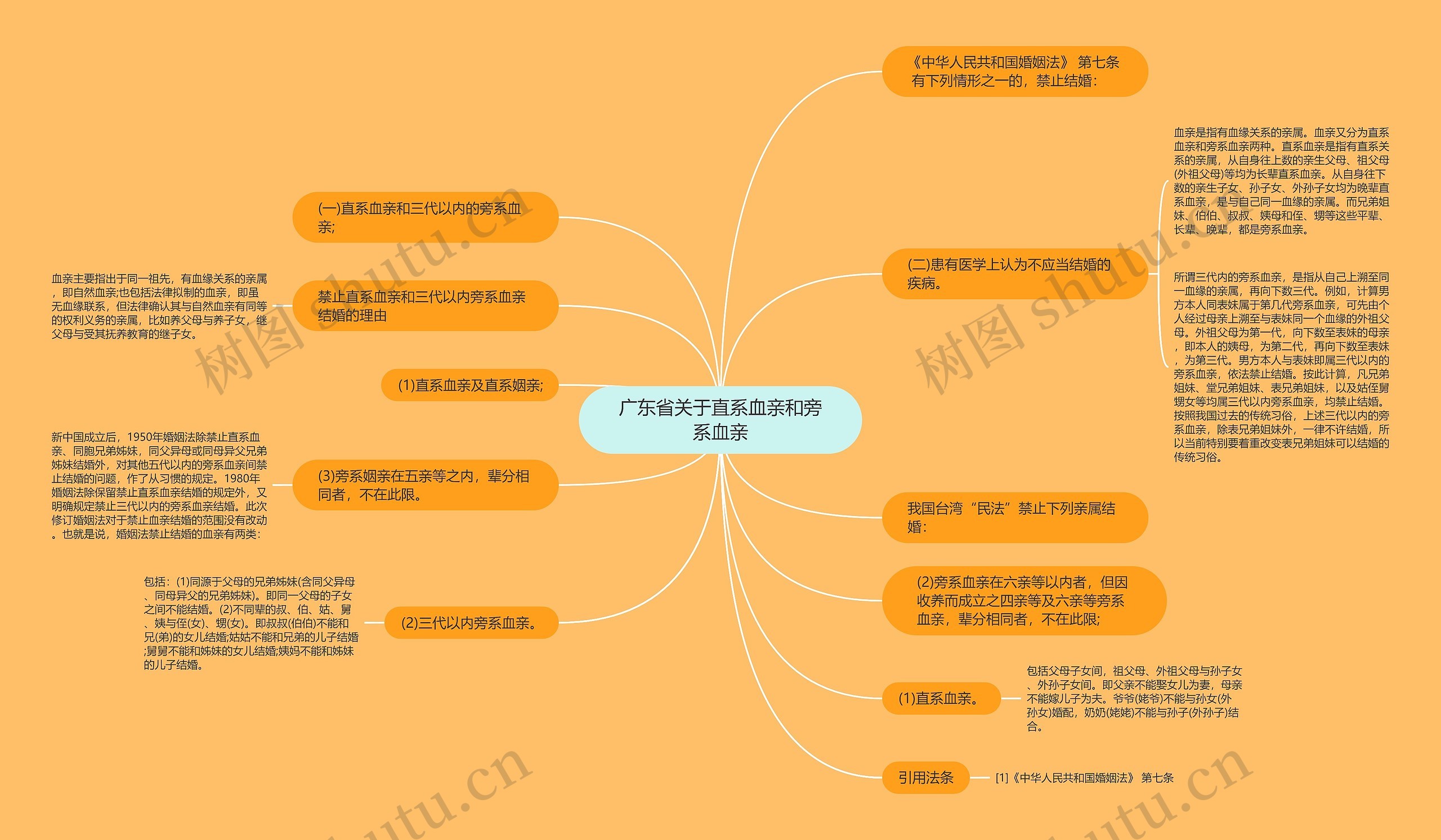 广东省关于直系血亲和旁系血亲