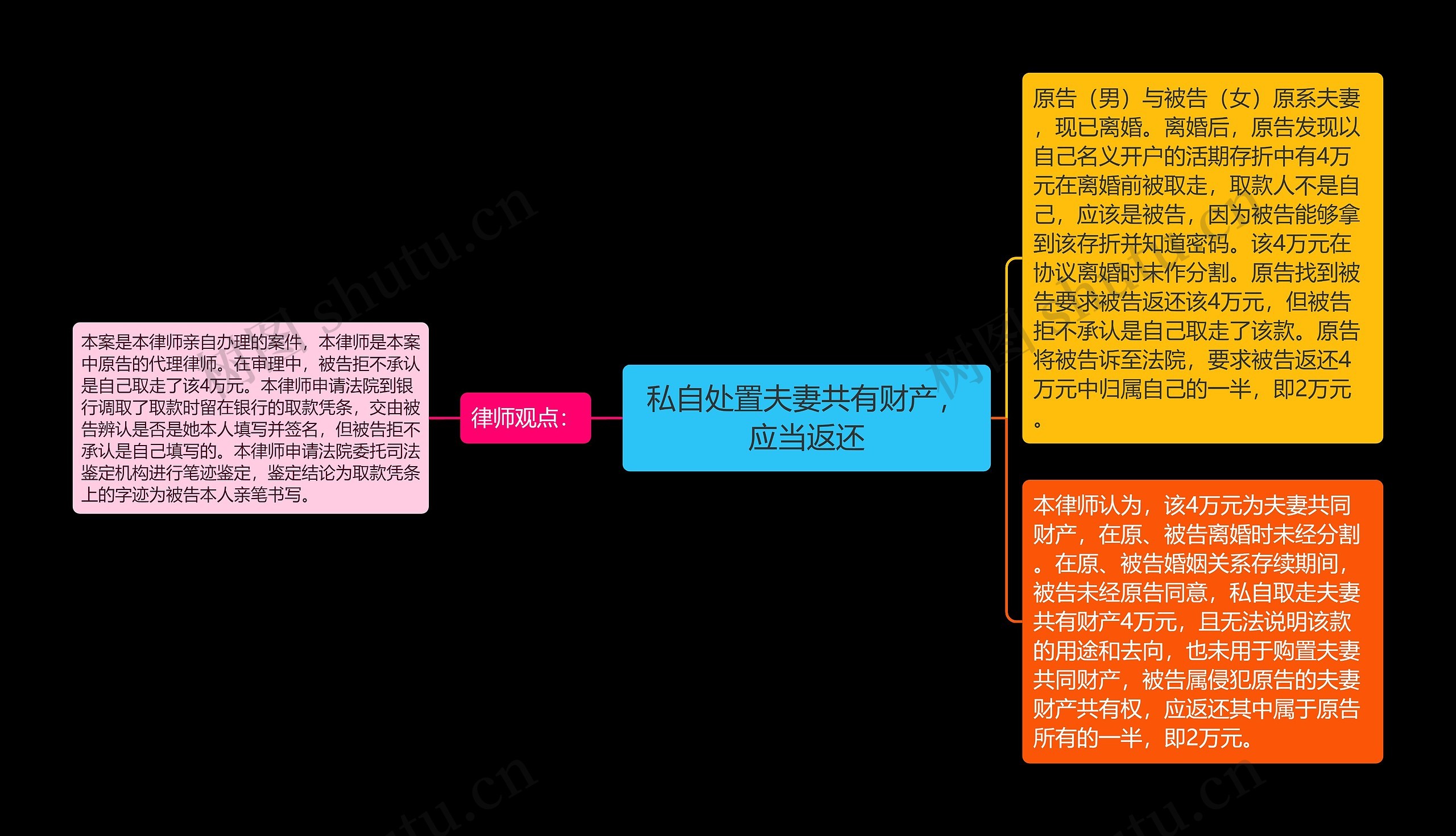 私自处置夫妻共有财产，应当返还思维导图