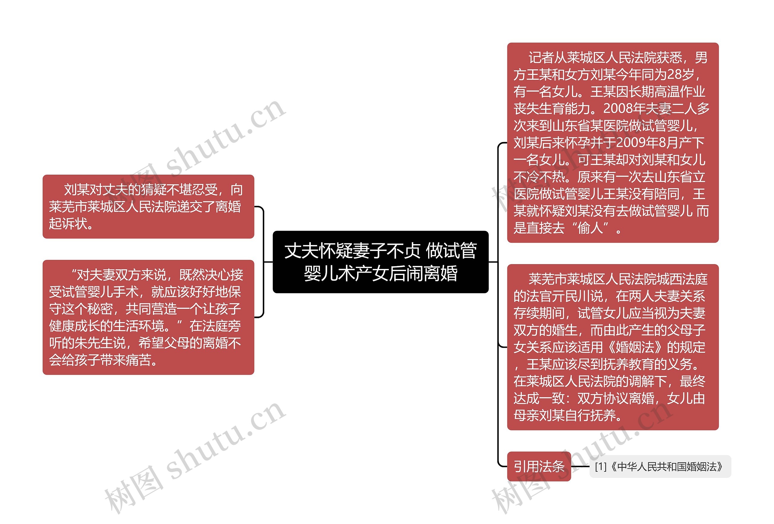 丈夫怀疑妻子不贞 做试管婴儿术产女后闹离婚思维导图