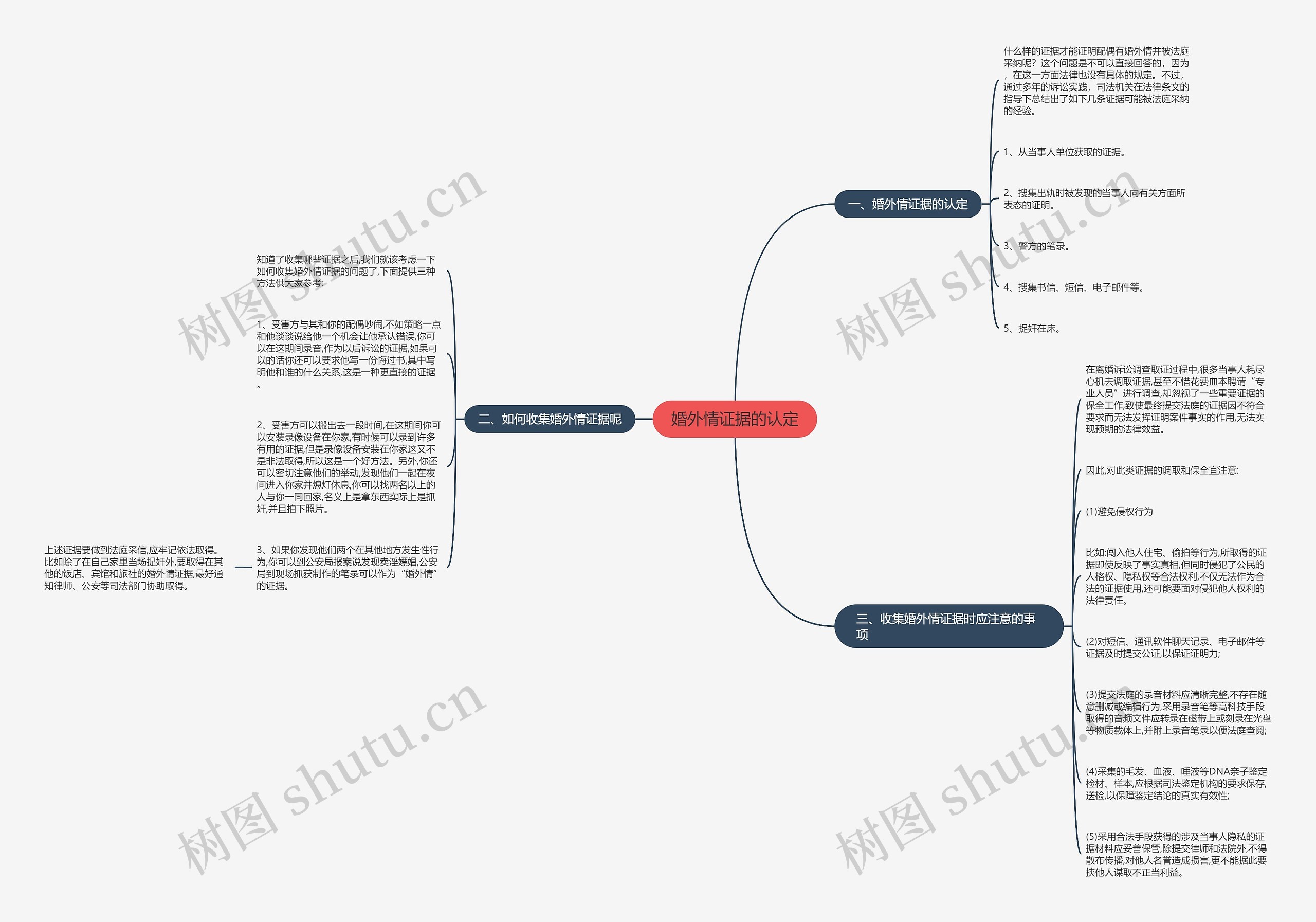 婚外情证据的认定思维导图