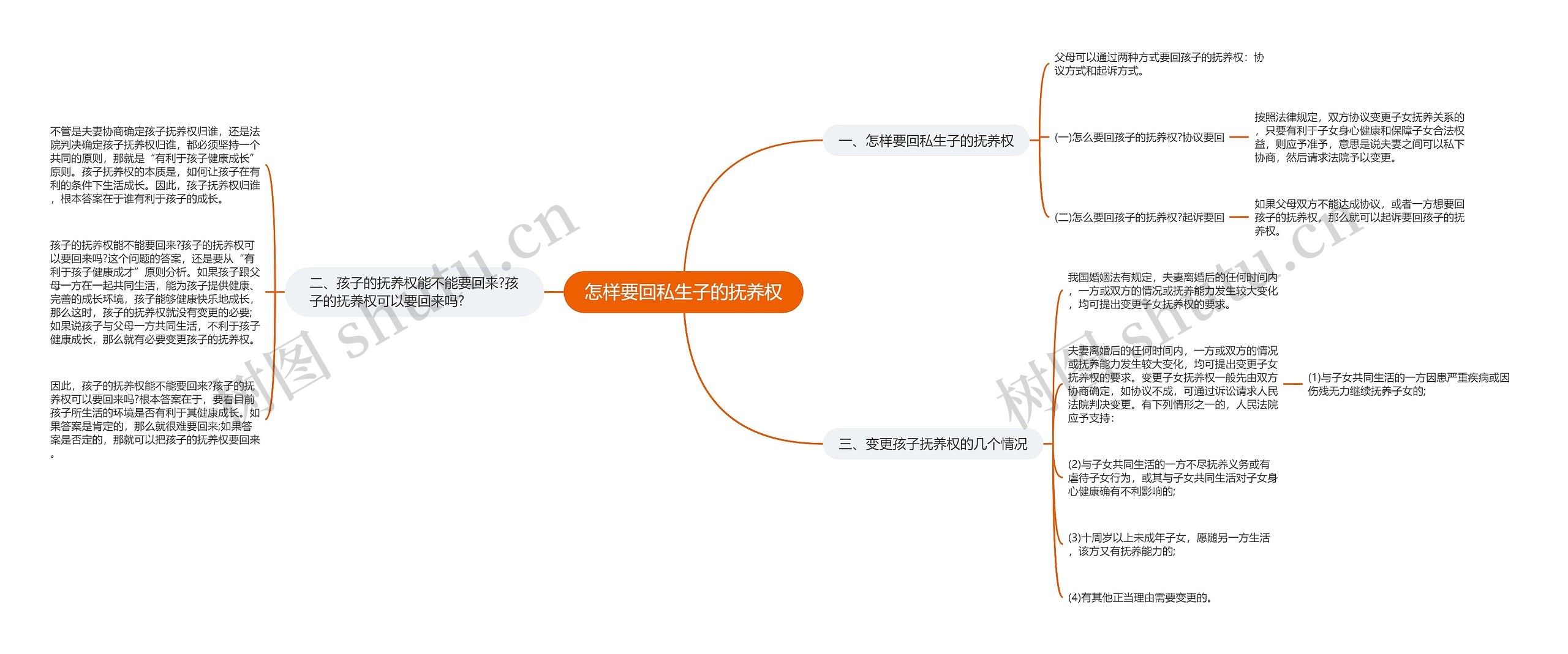 怎样要回私生子的抚养权思维导图