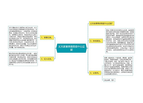 丈夫家暴离婚需要什么证据